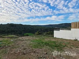  Terrain for sale in Tanger Assilah, Tanger Tetouan, Tanger Assilah