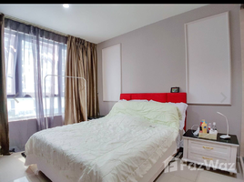 Studio Apartment for rent at Acacia Escalades, Pasig City, Eastern District