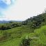  Land for sale in Aguirre, Puntarenas, Aguirre