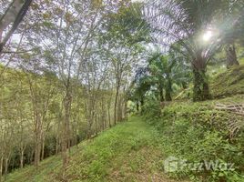  Land for sale in Thailand, Lam Phi, Thai Mueang, Phangnga, Thailand