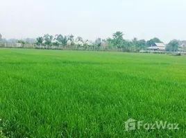 ขายที่ดิน ใน สันนาเม็ง, เชียงใหม่, สันนาเม็ง