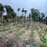  Terreno (Parcela) en venta en Costa Rica, Paraiso, Cartago, Costa Rica