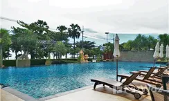 Фото 3 of the Communal Pool at Cetus Beachfront