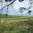Terrain à vendre à Puerto Plata, San Felipe De Puerto Plata, Puerto Plata
