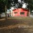  Terrain for sale in Fernando De Noronha, Rio Grande do Norte, Fernando De Noronha, Fernando De Noronha