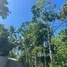  Land for sale in Bo Phut, Surat Thani, Bo Phut, Koh Samui