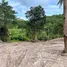  Land for sale in Koh Samui, Maenam, Koh Samui