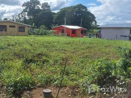  Terreno (Parcela) en venta en Limón, Pococi, Limón