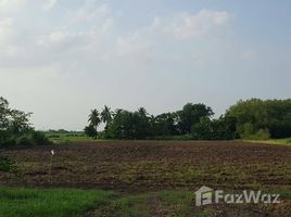 N/A Land for sale in Nong Kwang, Ratchaburi Land 4 Rai for Sale in Potharam