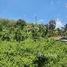  Terrain for sale in Ko Kaeo, Phuket Town, Ko Kaeo