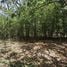  Land for sale in Santa Ana San Jose, Santa Ana, San Jose, Costa Rica
