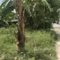  Land for sale in Koh Samui Surat Thani, Bo Phut, Koh Samui, Surat Thani