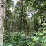  Terreno (Parcela) en venta en Trancoso, Bahia, Trancoso, Porto Seguro, Bahia