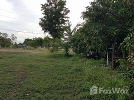 N/A Land for sale in Khon Kaen, Roi Et Land for Sale close to the Main Road in Roi Et