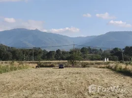 ขายที่ดิน ใน หมูสี, นครราชสีมา, หมูสี, ปากช่อง, นครราชสีมา