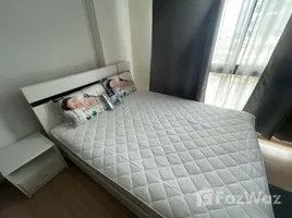 คอนโด 1 ห้องนอน ให้เช่า ในโครงการ ชาโตว์ อินทาวน์ สุขุมวิท 64/1, บางจาก