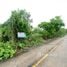  Land for sale in Sai Noi Nonthaburi, Sai Noi, Nonthaburi