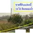 ขายที่ดิน ใน ทุ่งช้าง, น่าน, ทุ่งช้าง, ทุ่งช้าง