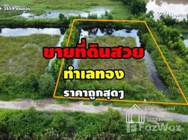 ขายที่ดิน ใน ลำตาเสา, พระนครศรีอยุธยา, ลำตาเสา, วังน้อย
