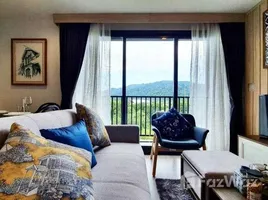 2 Bedroom Condo for rent at THE BASE Central Phuket, Wichit