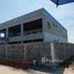  Земельный участок на продажу в Pinthongland Factory Village, Lahan