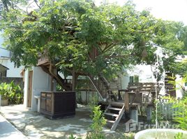 4 Bedrooms House for rent in Nong Chom, Chiang Mai Comepun Place