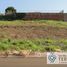  Land for sale in Fernando De Noronha, Rio Grande do Norte, Fernando De Noronha, Fernando De Noronha