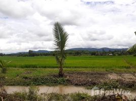 在Mae Lao, 清莱出售的 土地, Bua Sali, Mae Lao