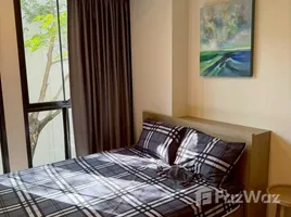 อพาร์ทเม้นท์ 1 ห้องนอน ให้เช่า ในโครงการ แชมเบอร์ส อ่อนนุช สเตชั่น, บางจาก