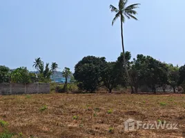  Land for sale in Pran Buri Prachuap Khiri Khan, Wang Phong, Pran Buri, Prachuap Khiri Khan