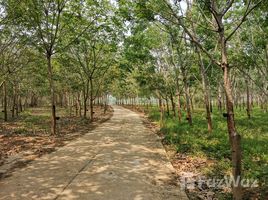  Grundstück zu verkaufen in Pak Chom, Loei, Chiang Klom, Pak Chom, Loei