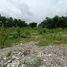  Land for sale in Thailand, Khlong Hok, Khlong Luang, Pathum Thani, Thailand