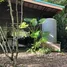  Land for sale in Phanom Surat Thani, Phanom, Phanom, Surat Thani