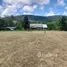  Land for sale in Phuket, Pa Khlok, Thalang, Phuket