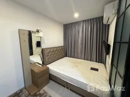 อพาร์ทเม้นท์ 1 ห้องนอน ให้เช่า ในโครงการ แอสปาย อโศก-รัชดา , ดินแดง, ดินแดง, กรุงเทพมหานคร