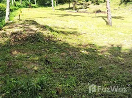  Terrain for sale in Maret, Koh Samui, Maret