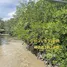  Land for sale in Samut Songkhram, Bang Chakreng, Mueang Samut Songkhram, Samut Songkhram