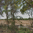  Land for sale in Mueang Prachin Buri, Prachin Buri, Khok Mai Lai, Mueang Prachin Buri