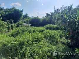N/A Land for sale in Huai Sai, Chiang Mai Traditional village river front close to PTIS, Prem College