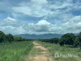  Grundstück zu verkaufen in Chom Thong, Chiang Mai, Ban Pae, Chom Thong