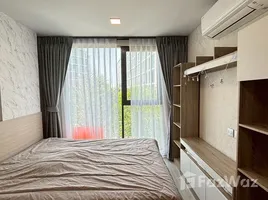 อพาร์ทเม้นท์ 1 ห้องนอน ให้เช่า ในโครงการ แอทโมซ โอเอซิส อ่อนนุช, สวนหลวง, สวนหลวง, กรุงเทพมหานคร