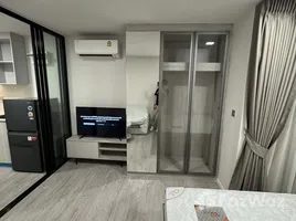 1 Bedroom Condo for rent at Atmoz Tropicana Bangna, Bang Na, Bang Na, Bangkok, Thailand