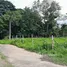 ขายที่ดิน ใน ช้างเผือก, เชียงใหม่, ช้างเผือก, เมืองเชียงใหม่, เชียงใหม่, ไทย