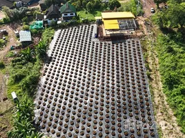 ขายที่ดิน ใน เชียงใหม่, อินทขิล, แม่แตง, เชียงใหม่