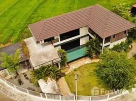 วิลล่า 4 ห้องนอน ให้เช่า ในทำเล เชิงดอย, เชียงใหม่, เชิงดอย, ดอยสะเก็ด, เชียงใหม่