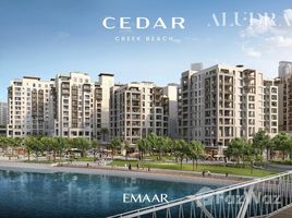 2 Bedroom Apartment for sale at Cedar, Creek Beach, Dubai Creek Harbour (The Lagoons)