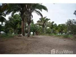  Terrain for sale in Nayarit, Compostela, Nayarit