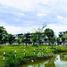 5 Habitación Villa en venta en Hoai Duc, Hanoi, Duc Giang, Hoai Duc