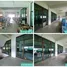 在泰国出售的 大商店, Krathum Baen, 龙仔厝, 泰国