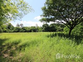  Land for sale in Thailand, Nam Phrae, Hang Dong, Chiang Mai, Thailand